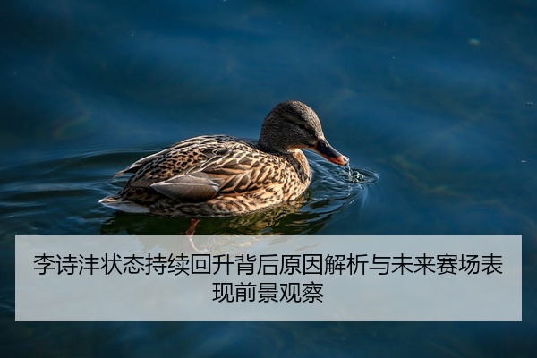 李诗沣状态持续回升背后原因解析与未来赛场表现前景观察