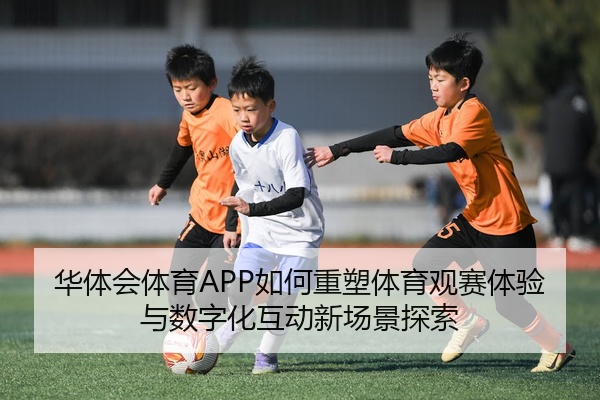 img_1777517684803_149_1_233.jpg